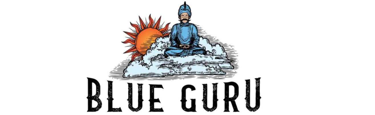 Featured Image Showcasing The Software Provider Blue Guru Games