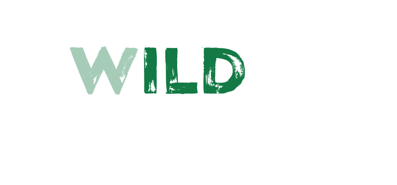 Illustrative image for the review of the online casino Wild Casino Review